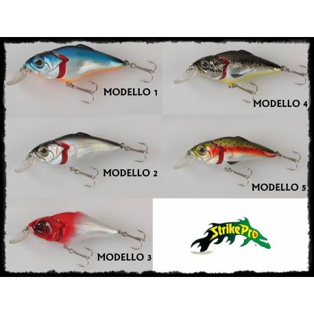 Minnow Testa Snodata