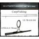 Canna Carpfishing ExpertCarp 12 piedi 3Lb