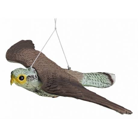 stampo falchetto in volo