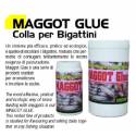 Maggot Glue Colla per Bigattini - 180Gr - Antiche Pasture