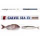 Canna Galvix Sea Bolentino 100g