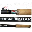 Canna Spinning Black Star Taigapro 30/80g