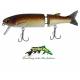 minnow glider 211