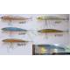 shot minnow 11cm
