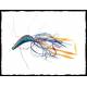 kabura hm jig 80g blu/arancio