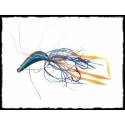 Kabura hm jig 80g blu/arancio pesca vertical jigging