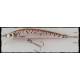 arc minnow trout