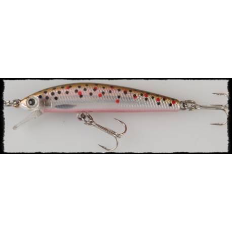 arc minnow trout