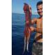 Kit Totanara a spillo doppio cestello + Luce stroboscopica bianca - Pesca al Totano
