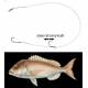 Lenza Terminale Acciaio Doppio Amo Scorrevole Pesca Dentice Serra
