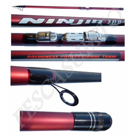 Canna da Pesca Bolognese 5 Metri in Carbonio - Ninjia 500