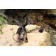 Mulinello Frizione Anteriore Spinning Bolognese - Globe Fishing Diablo 2000