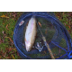Canna da Pesca Spinning Trout Area 1.88m 0/10g - Carson Skinny