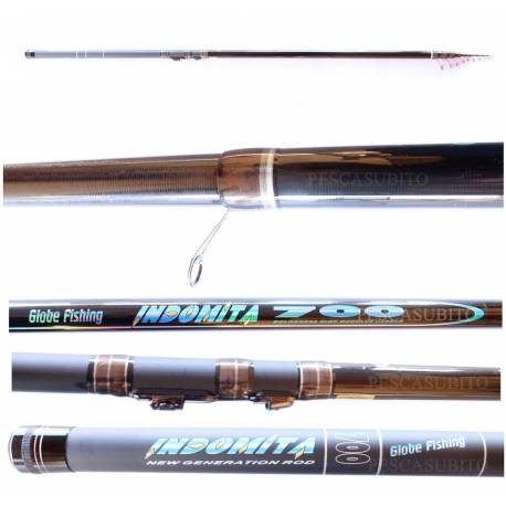 Canna Bolognese - Globe Fishing / Indomita 6Mt