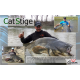 Canna Siluro Break Line - Carson / Cat Stige 2.80Mt 400Gr