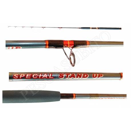 Canna Vertica Jigging - Special Stand Up 8/15Lbs