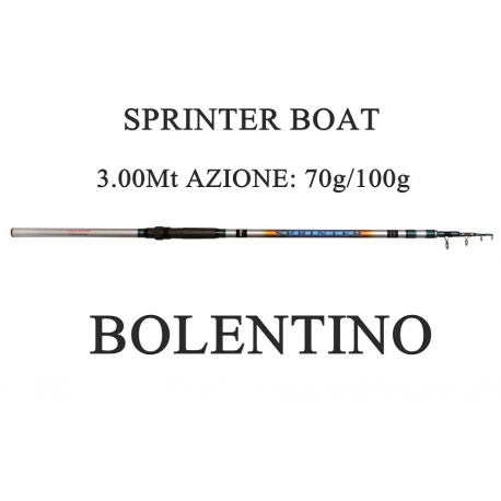 Canna Sprinter 3m Azione 70/100g Pesca Bolentino