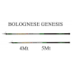Canna Genesis Bolognese