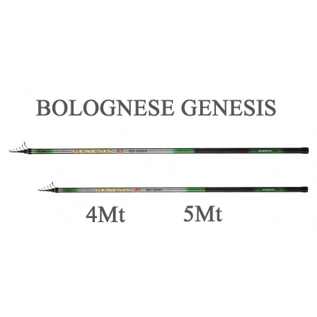 Canna Genesis Bolognese