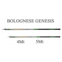 Canna Genesis Bolognese
