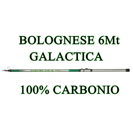 Canna Galactica Bolognese 6m