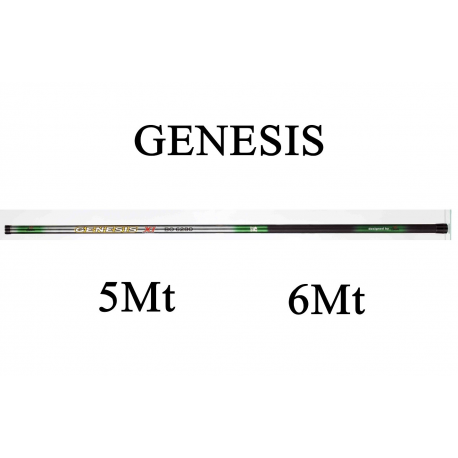 Canna Fissa Genesis