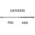 Canna Fissa Genesis