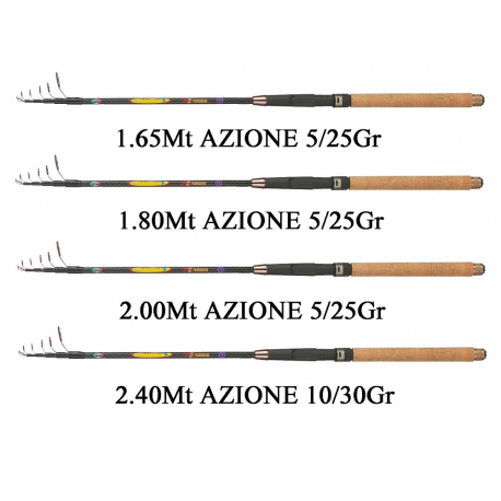 Canna Kudos Spinning