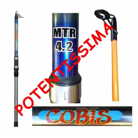 Canna da Pesca a Fondo Surfcasting Rockfishing - Cobis 150/300Gr Carson