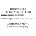 Canna da Pesca Vertical Jigging - 1.70Mt 100/300g - Carson Ika