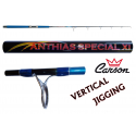 Canna da Pesca Vertical Jigging - Max 250gr - Carson Anthias Special