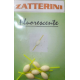 Zatterini Fluorescenti