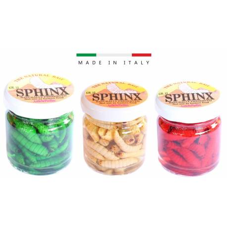 Kit 3 Barattoli Camole Verdi Banche Rosse Mummificate Pesca Trota