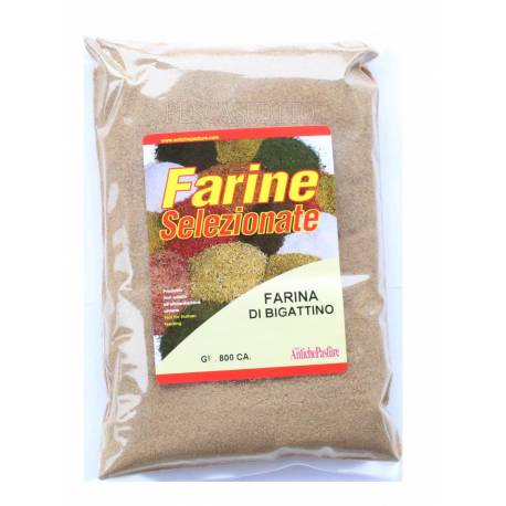 Farina di Bigattino Ingrediente Pastura e Boilies