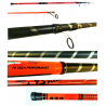 Canna da Pesca Surfcasting - Globe Fishing Pleiadi 4,20Mt 100/200Gr