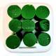 Eco Pellet Esca Siluro - 36mm