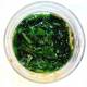 Integratore Pastura Mare Alga