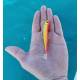 Soft Minnow Combo Black - 8,5Cm 12Gr Arancio