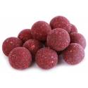 Boilies Innesco e Pastura - 20mm - Spezie