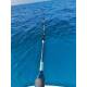 Canna Traina - Light Trolling 20Lbs