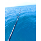 Canna Traina - Light Trolling 20Lbs