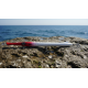 Jump Needle Testa Rossa