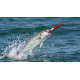 Jump Needle Testa Rossa