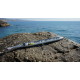 Jump Needle Barracuda